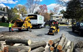 Best Tree and Shrub Care  in Grand Ledge, MI